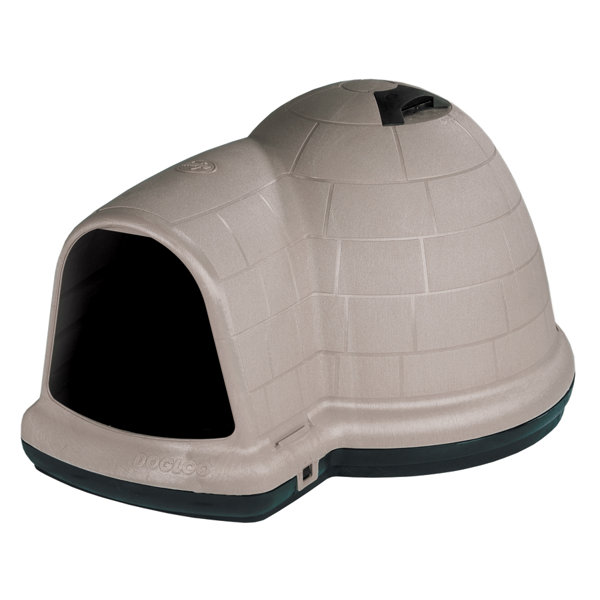 Igloo dog sales